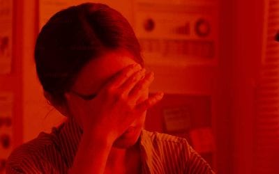 Slipp stressen och låt BuildIT sköta tekniska uppdateringar av din WordPress-webbplats